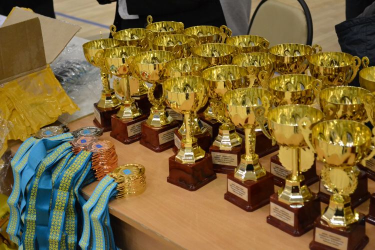 Чемпионат Казахстана комбат дзю-дзюцу 2013