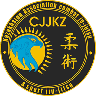 Combat ju-jutsu & sport jiu-jitsu | jiu-jitsu Profi Fight | Джиу джитсу Профи Файт