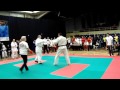 Чемпионат мира по Combat ju-jutsu 2013 1