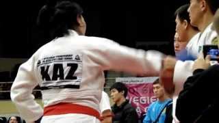 Чемпионат мира по Combat ju-jutsu 2013 4