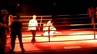 Чемпионат мира по Combat ju-jutsu 2013 #15