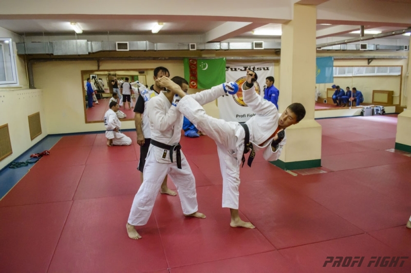 Тренировочные сборы по Джиу-джитсу Profi Fight 2014г.1354