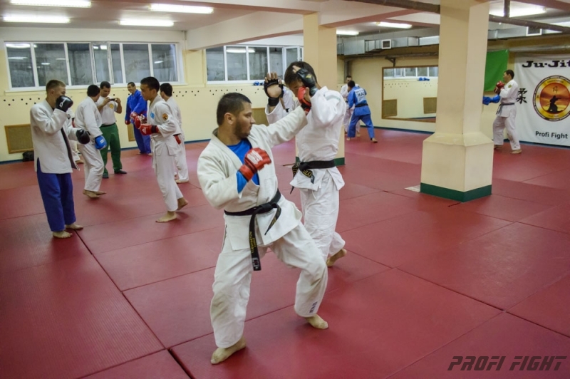 Тренировочные сборы по Джиу-джитсу Profi Fight 2014г.1313