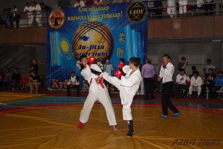 Кубок казахстана 2011 Астана420