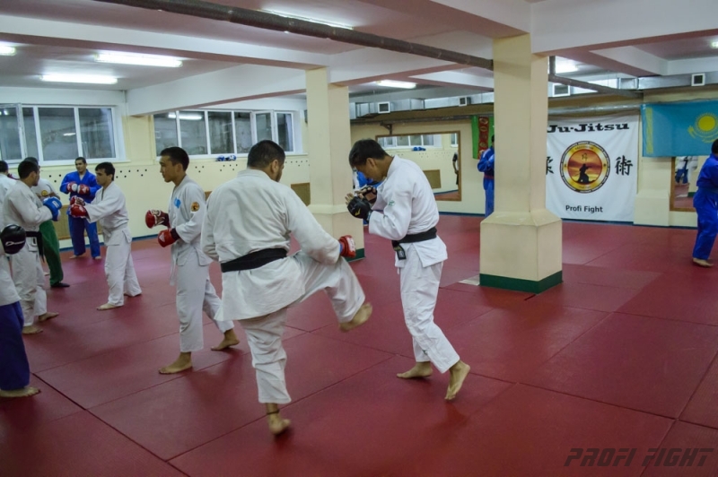 Тренировочные сборы по Джиу-джитсу Profi Fight 2014г.1312