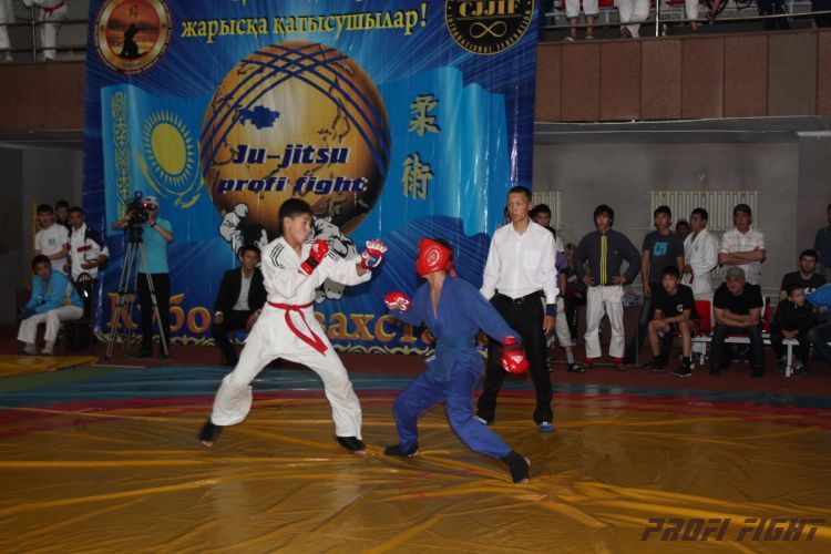 Кубок казахстана 2011 Астана422