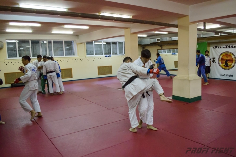 Тренировочные сборы по Джиу-джитсу Profi Fight 2014г.1315