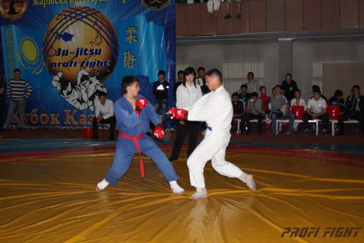 Кубок казахстана 2011 Астана400