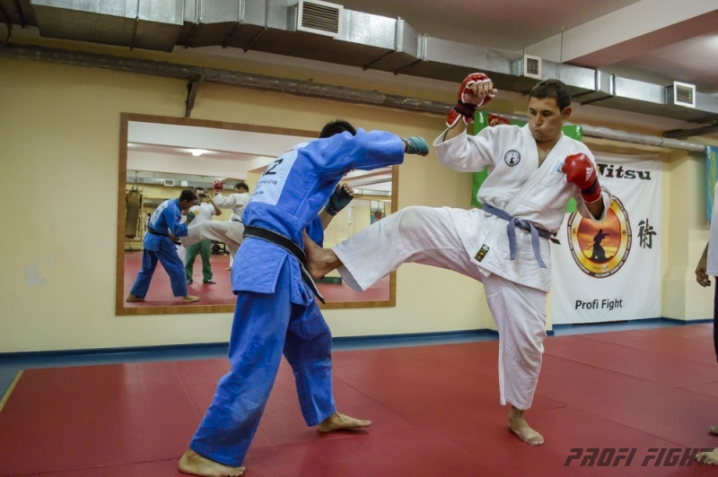 Тренировочные сборы по Джиу-джитсу Profi Fight 2014г.1330