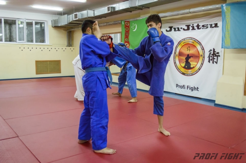 Тренировочные сборы по Джиу-джитсу Profi Fight 2014г.1335
