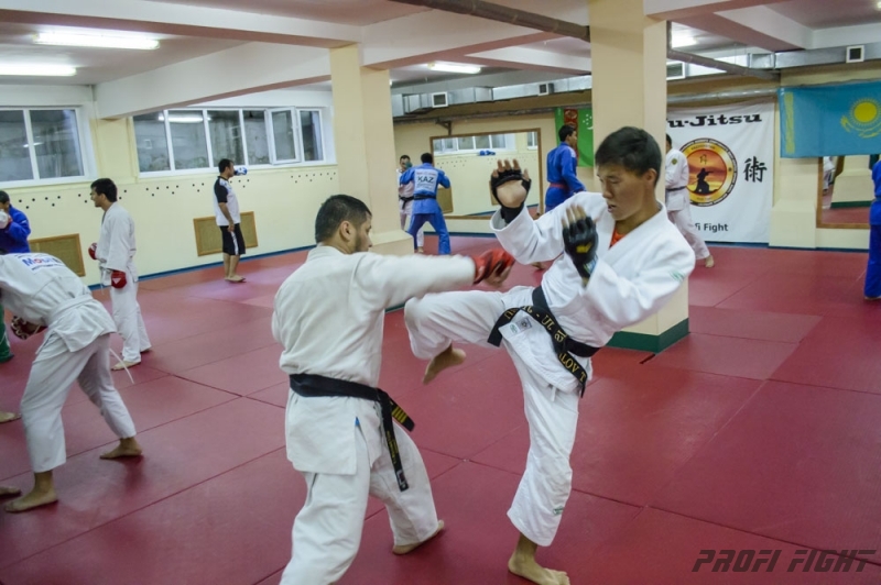 Тренировочные сборы по Джиу-джитсу Profi Fight 2014г.1311