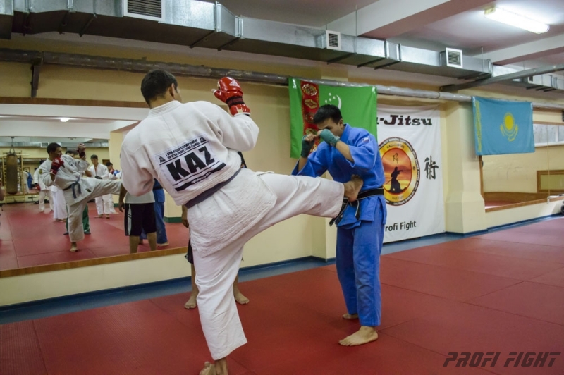 Тренировочные сборы по Джиу-джитсу Profi Fight 2014г.1329