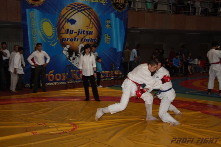 Кубок казахстана 2011 Астана433