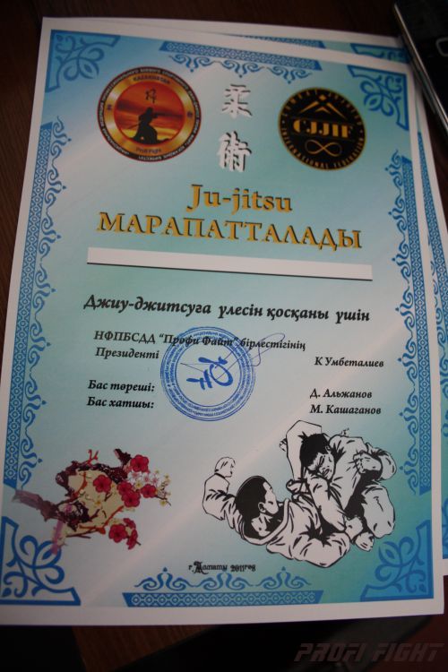 Кубок казахстана 2011 Астана487