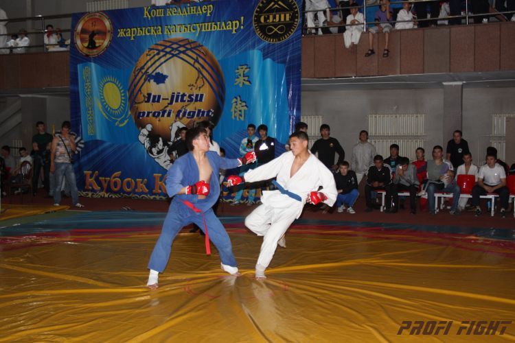 Кубок казахстана 2011 Астана396