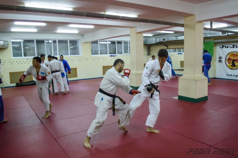 Тренировочные сборы по Джиу-джитсу Profi Fight 2014г.1314