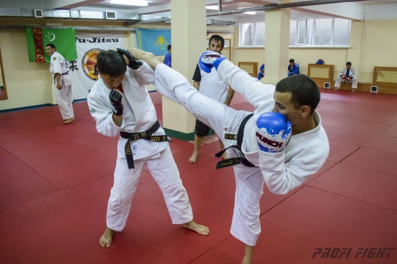 Тренировочные сборы по Джиу-джитсу Profi Fight 2014г.1356