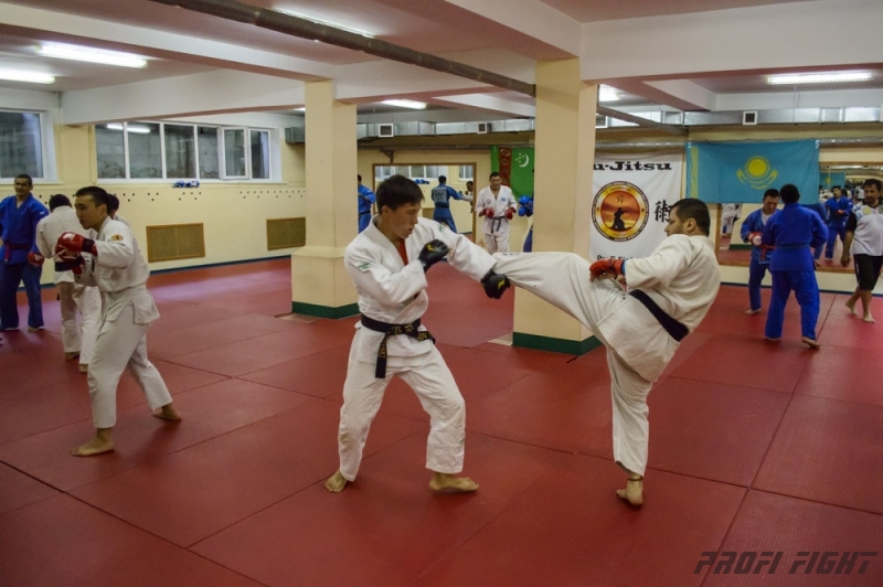 Тренировочные сборы по Джиу-джитсу Profi Fight 2014г.1316